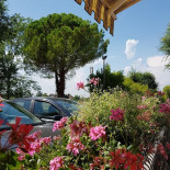 Trattoria Cavazuccherina