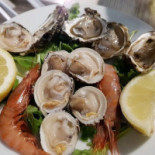 Stella Marina Comida