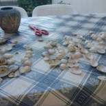 Pizzalandia inside