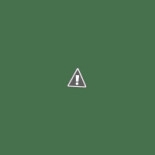 Fufibar À l'intérieur