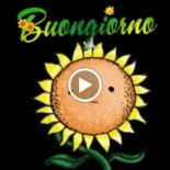 La Baracca Nourriture