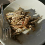 Tipiko Pizzeria Comida