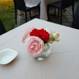 Paddock Nourriture