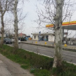 Nuovo Bar Ristorante Rio