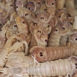 La Muccigna Comida