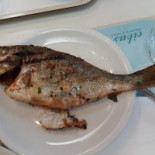 Cibus Comida