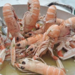 Osteria La Vecchia Stazione Nourriture