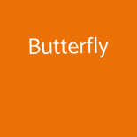Butterfly Essen