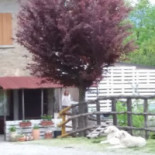 La Barroccia Extérieur