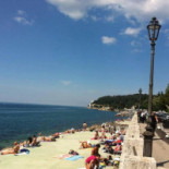 Green Beach Nourriture