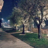 Osteria Taviani Nourriture