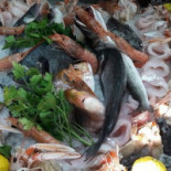 Molo 32 Comida