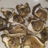 Molo Comida