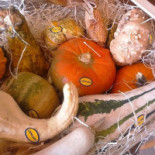 Vicovetere Comida