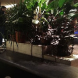 Godot Cafe inside