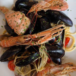 Foraperfora food