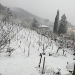 Temi Di Terra Nourriture