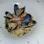 Daddy's Evolution Food