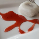 Giappone Sushi Nourriture