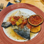 Fauno Nourriture