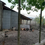 Agriturismo Il Miglio