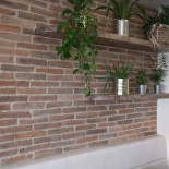 Pizzeria Barriera Exterior
