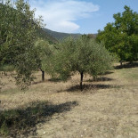 Agriforelle À l'intérieur