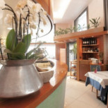 Pizzeria Odeon Comida