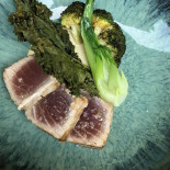 Lève Cibo