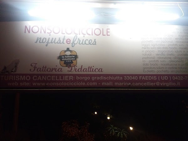 Non Solo Cicciole À l'intérieur
