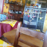 Al Gallo Cedrone Comida