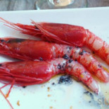 Simposio Al Corso Nourriture
