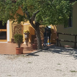 Antica Posta food