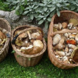 L'isoletta Azienda Agrituristica Venatoria food
