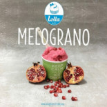 Lolla Gelato Comida