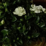 Er Caminetto outside