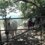 La Caballera Nourriture