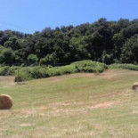 Casale Dell'acqua Bianca Comida