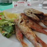 Salus Nourriture