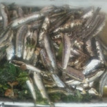 Dal Pudu Food