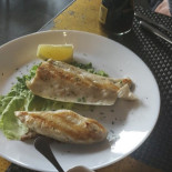 Moon Comida