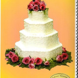 Tarantola food