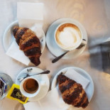 Gatto Nourriture