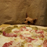 La Soffitta Comida