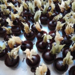 Pasticceria Rovida Comida