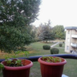 New Garden Extérieur