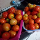 Ratatouille Comida