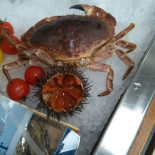 Il Calamaro food