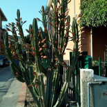A Freguggia Extérieur