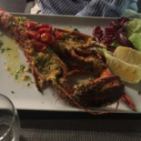 Belvedere Comida